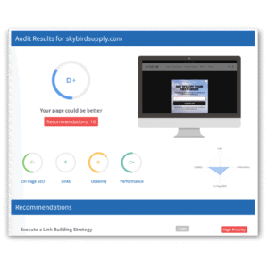 Website Maintenance Service